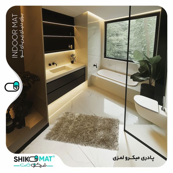 پادری میکرو لمزی